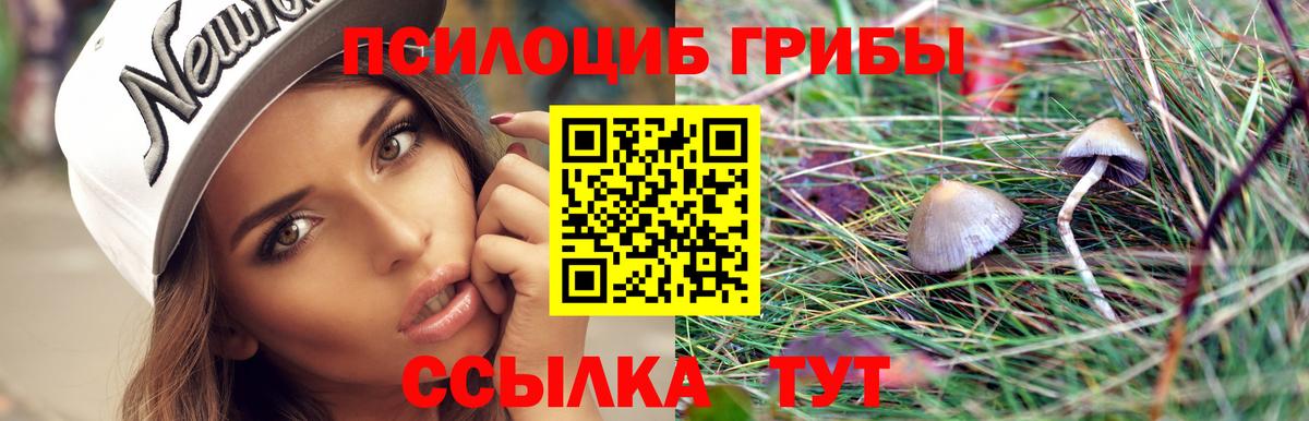 Галлюциногенные грибы MAGIC MUSHROOMS  Псилоцибиновые грибы Psilocybe  Алексеевка  Вход с VPN 